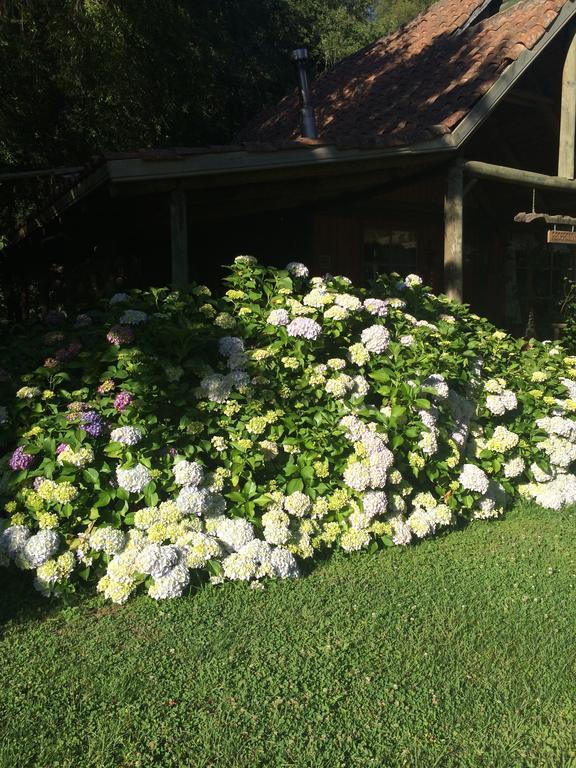 Cabanas Rahue บิลเชส ภายนอก รูปภาพ