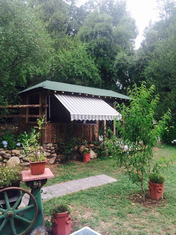 Cabanas Rahue บิลเชส ภายนอก รูปภาพ